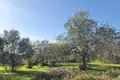 Grundstück  Sao Bras de Alportel, Portugal