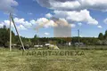 Parcelas  Vielikarycki sielski Saviet, Belarús