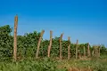 Wine is not just taste and aroma — it's the atmosphere and location that create it!