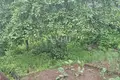 Haus 40 m² Gorodez, Russland