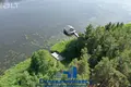 Коммерческое помещение 300 м² Швабский сельский Совет, Беларусь