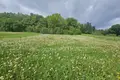 Działki  Czaczkowo, Białoruś