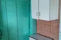 Haus 44 m² Aliachnovicki sielski Saviet, Belarus