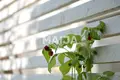 Casa 4 habitaciones 98 m² Tuusula, Finlandia