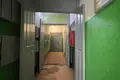Wohnung 2 zimmer 50 m² Minsk, Belarus