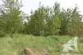 Земельные участки  Знаменский сельский Совет, Беларусь