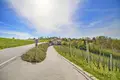 Fertiges Geschäft 330 m² Raka, Slowenien