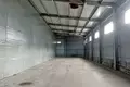 Warehouse 350 m² in Vialikaje Sciklieva, Belarus