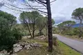 Land 1 150 m² Zagora, Montenegro