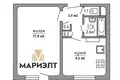 Wohnung 1 Zimmer 34 m² Minsk, Weißrussland
