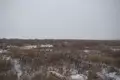 Land  Odessa, Ukraine