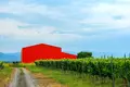 Now available for sale! A new wine factory complex in Kakheti, Telavi Municipality, in the village of Napareuli