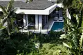 Residential complex New gated complex of furnished villas surrounded by tropical nature and fields, Ubud, Bali, Indonesia