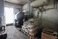 Manufacture 5 rooms 370 m² in Marupe, Latvia