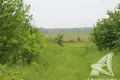 Działki  cerninski sielski Saviet, Białoruś