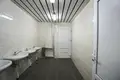 Manufacture 5 rooms 3 983 m² in Krychau, Belarus