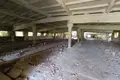Gewerbefläche 6 000 m² Owidiopol, Ukraine