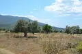 Land 1 room 22 000 m² Gymno, Greece