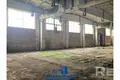 Производство 15 000 м² Лебедево, Беларусь