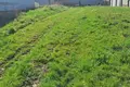 Land 3 704 m² Tarjan, Hungary