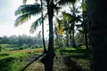 Land  Tabanan, Indonesia