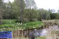 House 88 m² Nalibacki sielski Saviet, Belarus