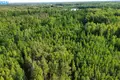 Land  Petrauskai, Lithuania