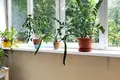Квартира 2 комнаты 47 м² Минск, Беларусь