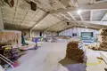 Zakład produkcyjny 1 pokój 500 m² w Lahojsk selsaviet, Białoruś