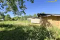 Land  Aliachnovicki sielski Saviet, Belarus
