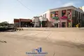 Магазин 270 м² в Минске, Беларусь
