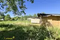 Land  Aliachnovicki sielski Saviet, Belarus