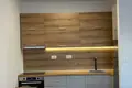 Apartamento 1 habitacion 46 m² Montenegro, Montenegro