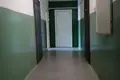 1 room apartment 43 m² Rechytsa, Belarus