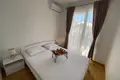 1 bedroom apartment 43 m² Montenegro, Montenegro