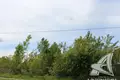 Земельные участки  Знаменский сельский Совет, Беларусь
