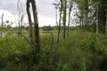 Parcelas  Unkauski selski Savet, Belarús