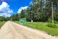 Land  Naujasode, Lithuania