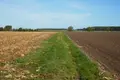 Land 20 800 m² Strzepin, Poland