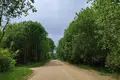 Dom 53 m² Negarelski selski Savet, Białoruś