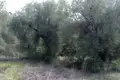 Земельные участки 1 комната  Касандрия, Греция
