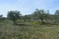 Land 5 980 m² Peloponnese Region, Greece