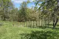 House 64 m² Stankauski sielski Saviet, Belarus