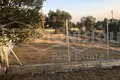 Grundstück 218 m² Nea Kallikrateia, Griechenland
