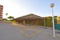 Nieruchomości komercyjne 12 m² Torrevieja, Hiszpania