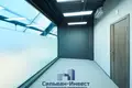 Office 786 m² in Minsk, Belarus