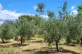 Haus 2 Schlafzimmer 9 200 m² Opcina Marcana, Kroatien