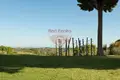 Commercial property 3 969 m² in San Gimignano, Italy