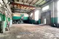 Produktion 1 285 m² in Zarecca, Belarus