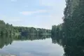 Casa 34 m² Gorodetsky District, Rusia